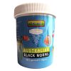 Australian Black Worms Cubes Spinach 10g Container