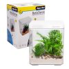 BettaSense Curved Acrylic Aquarium White