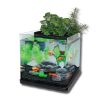Aquatopia Oasis 20 Aquaponic Aquarium 20L