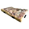 Dymax Reptile Land Large DM214 BACK CORNER