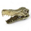 Croc Skull CH44611 ANGLE