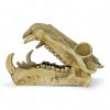 Hippo Skull Ornament 20x11x13.5cmH CH44089 LEFT SIDE VIEW
