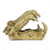 Hippo Skull Ornament 20x11x13.5cmH CH44089 RIGHT SIDE VIEW
