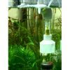 Cichlids Fish Eggs Incubator 50mm AQ50025 RUNNING in AQUARIUM