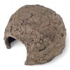 Large Breeding Dome 16cm Diameter x 8cmH CERLD TOP ANGLE VIEW