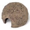 Medium Breeding Dome 11cm Diameter x 6.5cmH CERMD TOP ANGLE VIEW