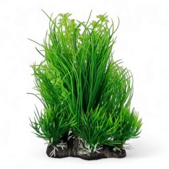 Hair Grass Clump 20cm