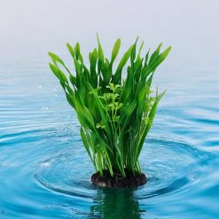Plastic Plant Twisted Val 20cm 6003 ON WATER