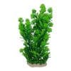 Ambulia Fern Mix Large 32cm