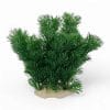 Plastic Plant - Cabomba Small 17cm PPCS17