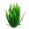 Fern Green 28cm