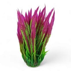 Fern Green and Pink 28cm