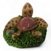Squirt Turtle 1504A BACK ANGLE