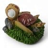 Squirt Turtle 1504A SIDE ANGLE