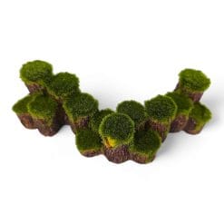 Tree Stump Wall Ornament 7704D FRONT ANGLE TOP