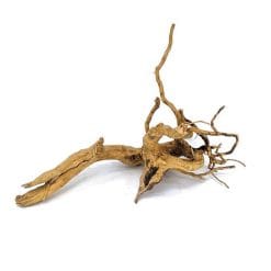 Tweetywood Large
