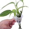 Hanging Aquarium Plant Holder 2 Pack 66724 HAND HOLDING