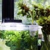 Hanging Aquarium Plant Holder 2 Pack