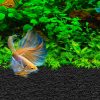 Fluval Betta Stratum 800g NAN28 BETTA