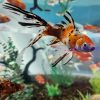 Veiltail Shubunkin Longfin Comet Goldfish