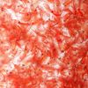 Brine Shrimp Artemia Eggs