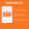 aquaLabs Brine Shrimp Artemia Eggs
