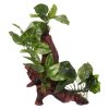 Aqua One Ornament Driftwood with Variegated Pothos 30.5x21x41.5cm H