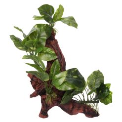 Aqua One Ornament Driftwood with Variegated Pothos 30.5x21x41.5cm H