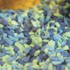 Aqua One Decorative Gravel 2kg Mixed Aqua Blue 2mm